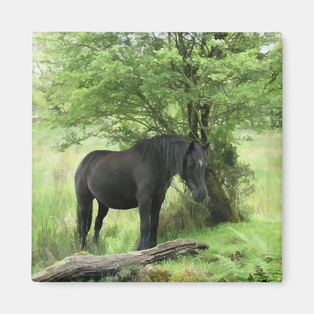 AIMANT CHEVAUX (Devant)