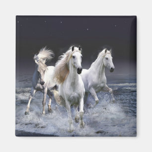 Aimant Chevaux à lancer l'oreiller