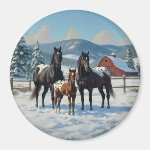 Aimant Chevaux Appaloosa noirs sur une ferme en hiver
