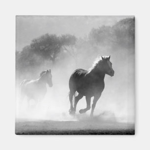 Aimant Chevaux de course noir et blanc Photo Artwork