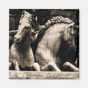 Aimant Chevaux de Florence, Italie