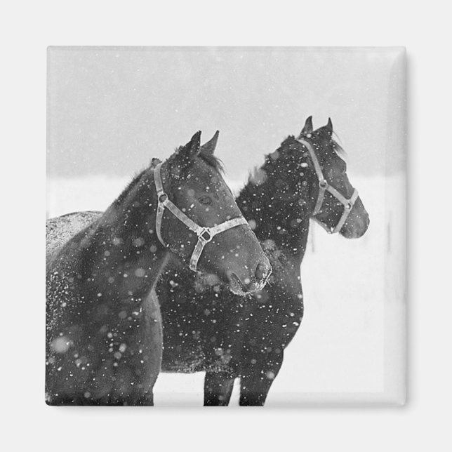 Aimant Chevaux en chute de neige (Devant)