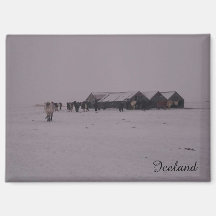 Chevaux islandais dans l'aimant de la neige
