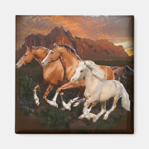 Aimant Chevaux sauvages d'Arizona