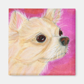 Aimant Cheveux longs Chihuahua