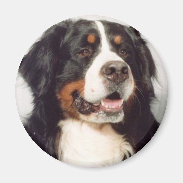 Aimant Chien (Devant)