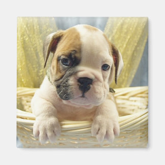 Aimant Chien à balustrade en panier