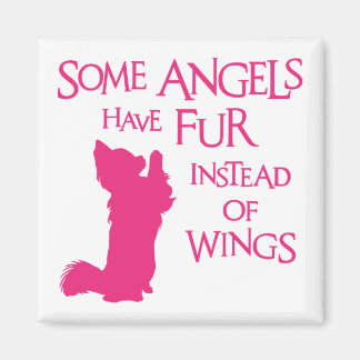 AIMANT CHIEN ANGEL