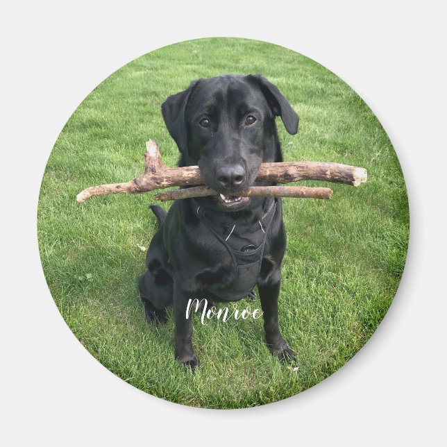 Aimant Chien animal de compagnie Nom et photo personnalis (Devant)