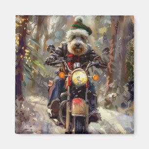 Aimant Chien Bernedoodle à moto Noël
