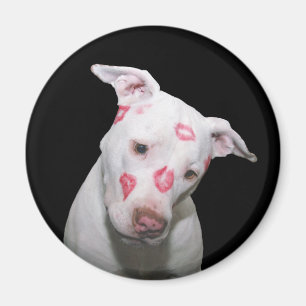 Aimant Chien blanc amoureux, Scellé avec baisers en bâton