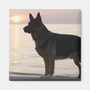 Aimant Chien de berger allemand sur la baie géorgienne,