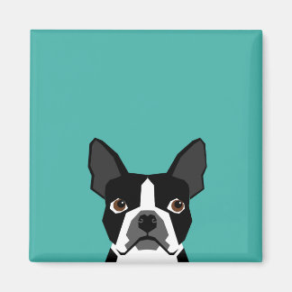 Aimant chien de Boston Terrier