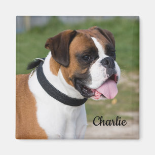 Aimant Chien de chiot blanc et de chien de boxe