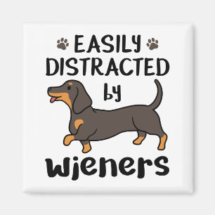 Aimant Chien de Dachshund facilement distrait par les Wie