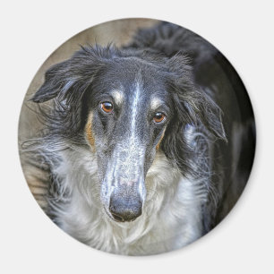Aimant Chien de délivrance de barzoï