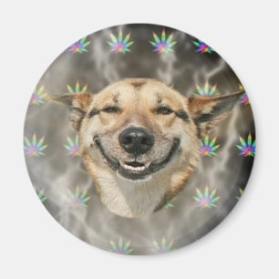 Aimant Chien de fumeur de marijuana