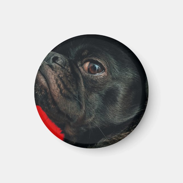 Aimant chien de rojo (Devant)