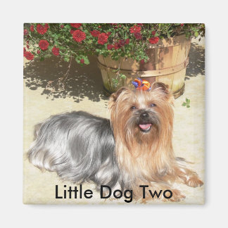 Aimant chien heureux, Little Dog Two - Customisé