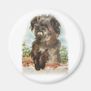 Aimant chien hirsute vintage