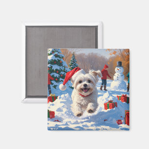 Aimant Chien maltais courant dans la neige avec un chapea