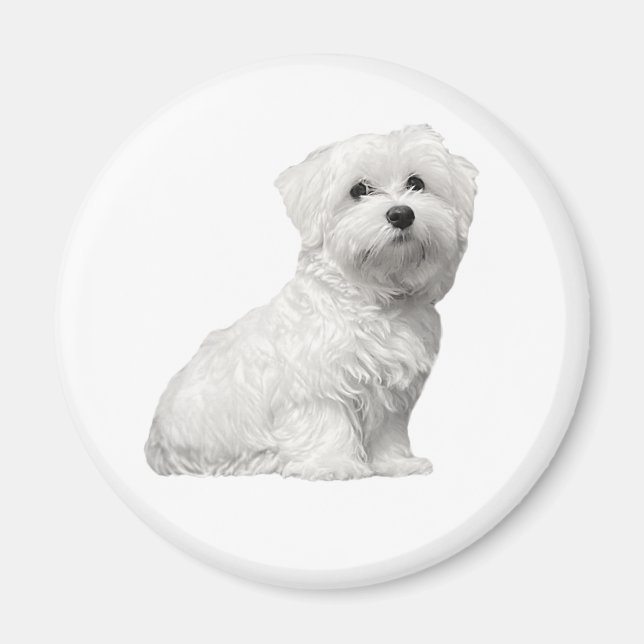 Aimant Chien maltais mignon assis chiot (Devant)