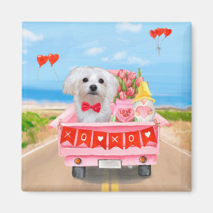 Aimant Chien maltais Saint Valentin Camion