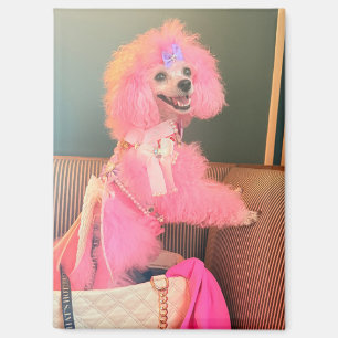 Aimant chien nu poodle rose, cadeau aimant chien n