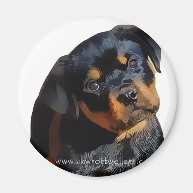 Aimant Chien Rottweiler (Devant)