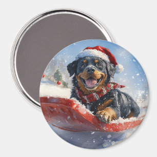 Aimant Chien Rottweiler en Traîneau Qu'il neige Noël