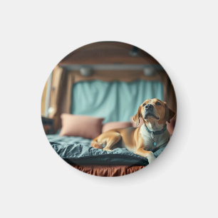 Aimant Chien sur Lit