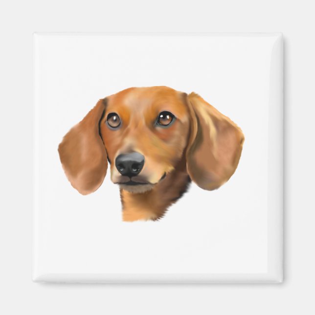 Aimant Chien teckel rouge (Devant)
