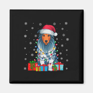 Aimant Chien Vilain Noël Éclairage Santa Hat Porté Collie