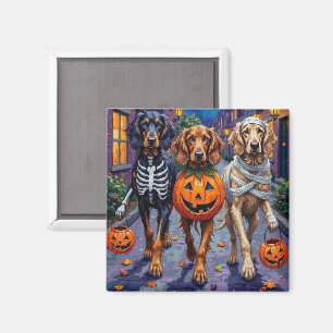 Aimant Chiens Afghan Hound faisant Trick-or-Treating à Ha