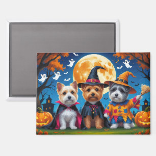 Aimant Chiens Cairn Terrier Citrouille Halloween Drôle