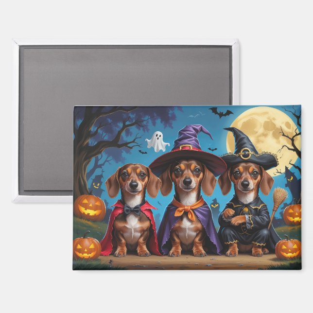 Aimant Chiens de Dachshund Citrouille Halloween drôle (Recto/Verso)