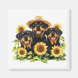 Aimant Chiens Rottweiler Entourés De Tournesols