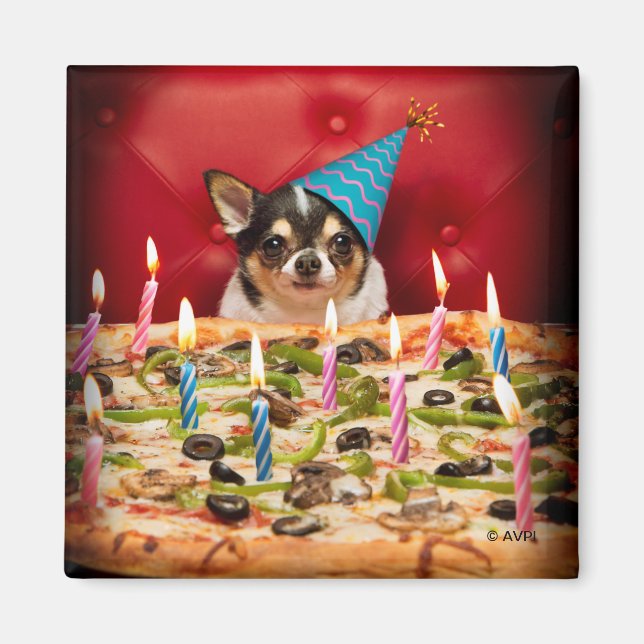 Aimant Chihuahua Anniversaire Pizza Pie (Devant)