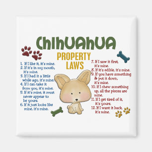 Aimant Chihuahua, lois sur la propriété 4