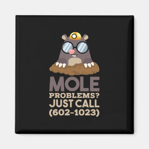 Aimant Chimie - Problèmes de mole