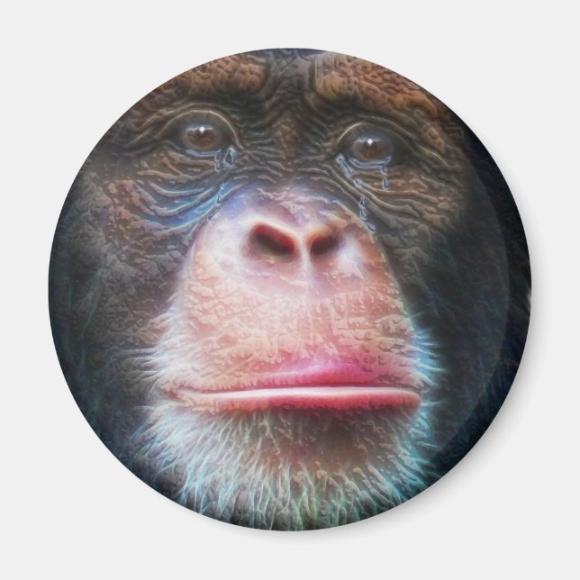 Aimant CHIMPANZEE VISAGE Primate Wildlife Art Magazine (Devant)