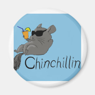 Aimant chinchillin