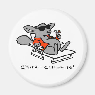 aimant chinchillin