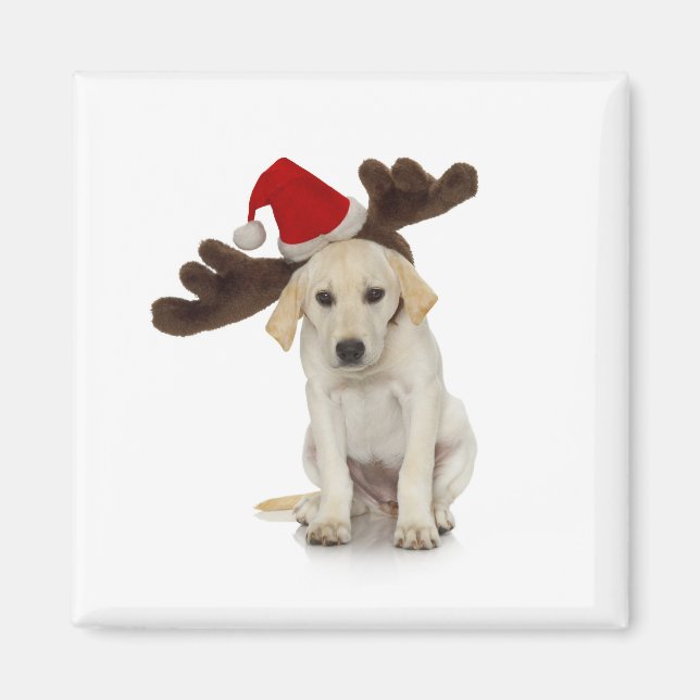 Aimant Chiot avec chapeau de Père Noël et oreilles de ren (Devant)