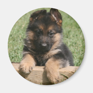 Aimant Chiot berger allemand