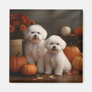 Aimant Chiot Bichon Frise Délice d'Automne Citrouille