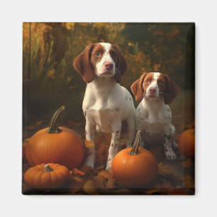 Aimant Chiot Brittany Spaniel Délice d'Automne Citrouille