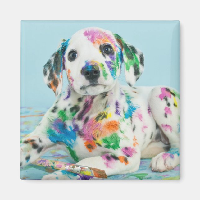 Aimant Chiot dalmate (Devant)