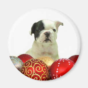 Aimant Chiot de bouledogue français de Noël