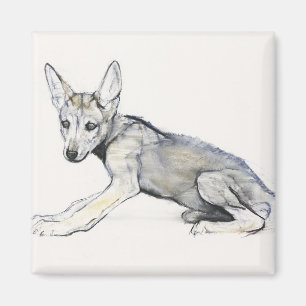 Aimant Chiot de loup Arabe adolescent 2009